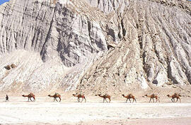 
Chemins vers l'Orient, Pakistan. Pasni, caravane de dromadaires transportant des pierres
