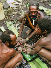 
Du sel et des hommes : approches ethnoarchéologiques. La Nouvelle-Guinée. Après avoir été réduit...