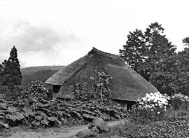 
Le Japon de 1937 à 1939 vu par André Leroi-Gourhan, l'architecture rurale. Toit de chaume d’une ...