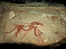 
Des peintures rupestres d'Afrique australe. Afrique du Sud. Les fauves sont aussi représentés da...