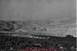 Film n°102. Iraq al-Amir, prospection, sites 2, 146, 147, 34 et Qasr al Abd, août 1986