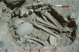 Khirokitia, sépulture 290