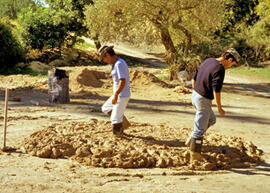 
Reconstitution de l'habitat néolithique à Khirokitia (Chypre). La terre à bâtir, foulée au pied,...