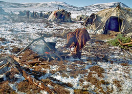 
Vivre avec les rennes. Techniques. Feu culinaire devant la tente. Région d'Atchaïvaïam, Nord Kam...