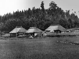 
Le Japon de 1937 à 1939 vu par André Leroi-Gourhan, l'architecture rurale. Un groupe de fermes à...