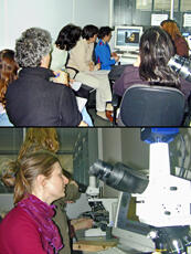 
Chaîne d'observations microscopiques : un outil pour la recherche. Images numériques. Ambiance d...