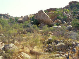
Des peintures rupestres d'Afrique Australe. Angola. Sous le rocher triangulaire se trouve le sit...