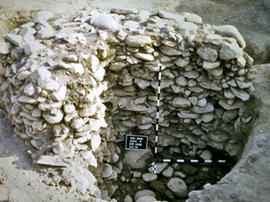 
Recherches franco-bulgares sur le site néolithique de Kovacevo en Bulgarie. Les structures. Soub...