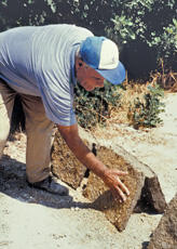 
Reconstitution de l'habitat néolithique à Khirokitia (Chypre). Le lendemain, les briques sont pl...
