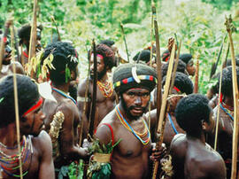 
Du sel et des hommes : approches ethnoarchéologiques. La Nouvelle-Guinée. Expédition de jeunes g...