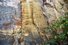 
Des peintures rupestres d'Afrique Australe. Botswana. La position de certaines figures a conduit...